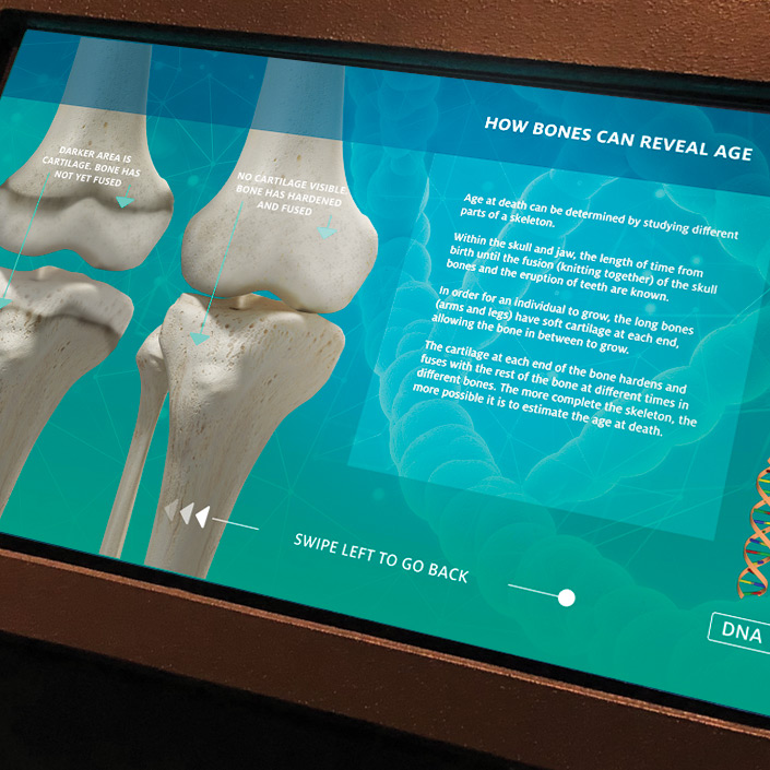 Bones & DNA Touchscreen Programme