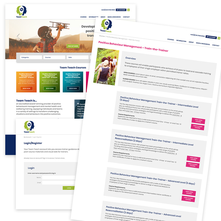 user experience design